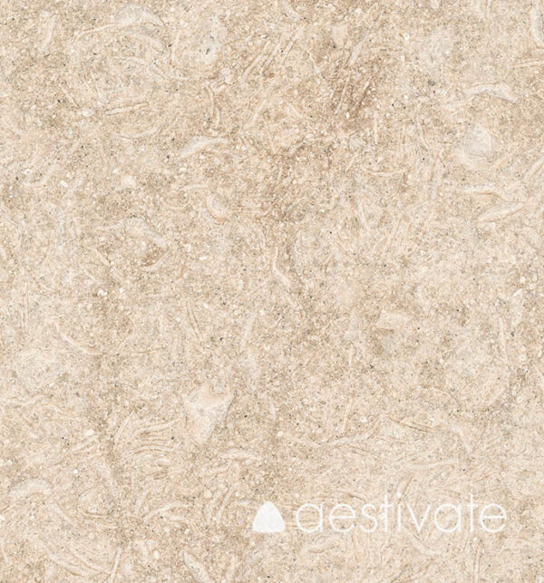 Kalksteinplatte aus Grey Oliva geflammt und gebürstet aestivate
