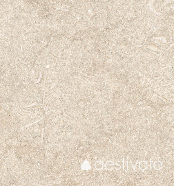 Kalksteinplatte aus Grey Oliva geflammt und gebürstet aestivate